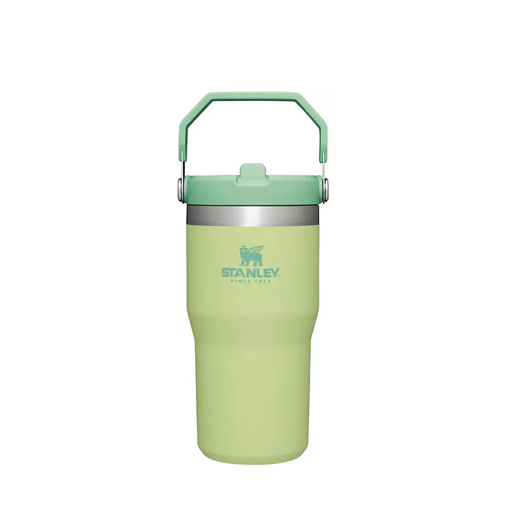STANLEY FLIP STRAW TUMBLER | 20 OZ