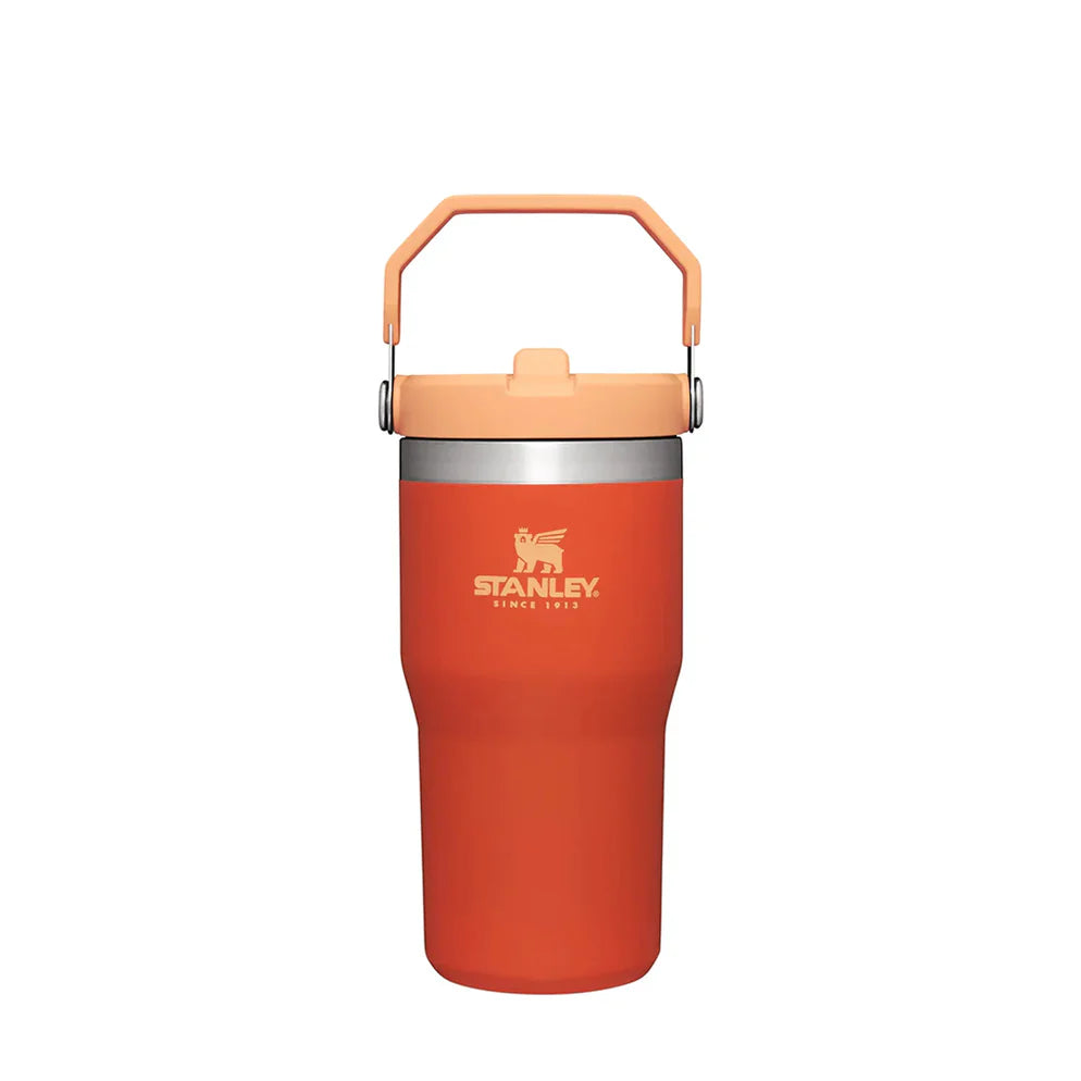 STANLEY FLIP STRAW TUMBLER | 20 OZ