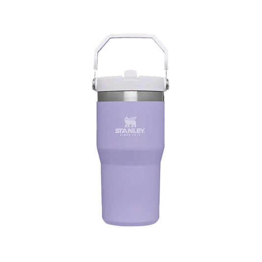 STANLEY FLIP STRAW TUMBLER | 20 OZ